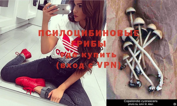 стафф Верхнеуральск
