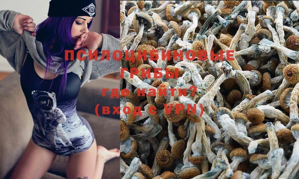 трава Верея