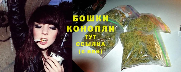 трава Верея