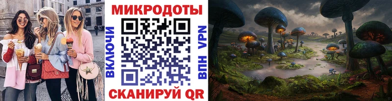 Галлюциногенные грибы Psilocybe  Купить закладки  Сафоново 
